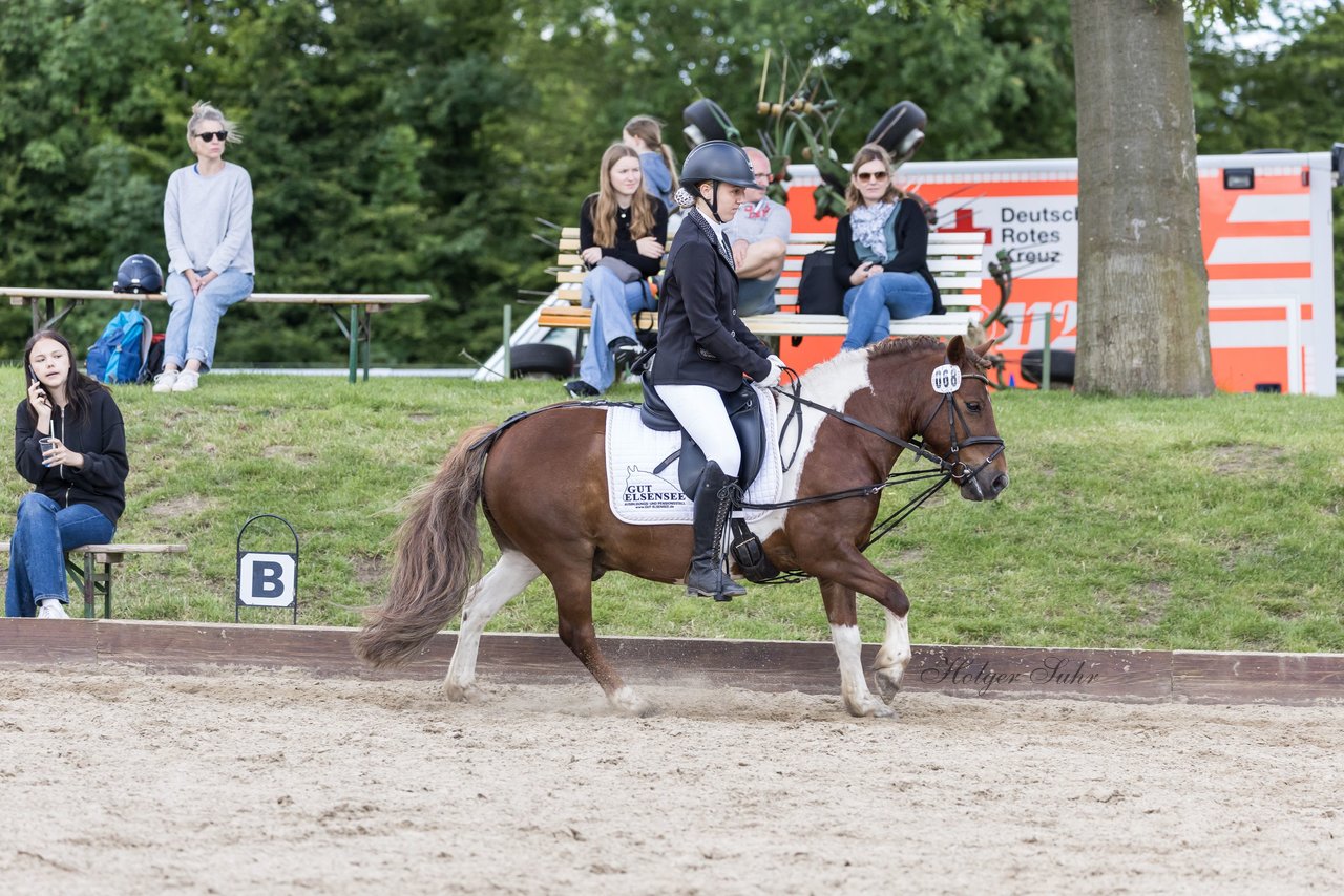 Bild 307 - Pony Akademie Turnier